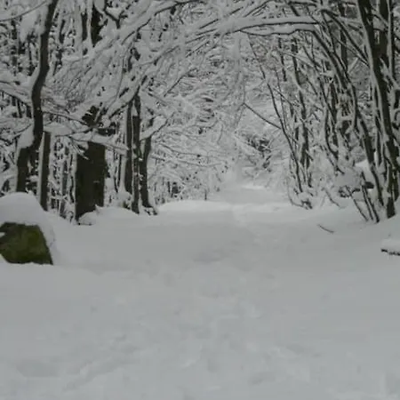 Ab Bel 1 A 4 Pers Face Vallee 3 Etoiles Wifi Le Tholy