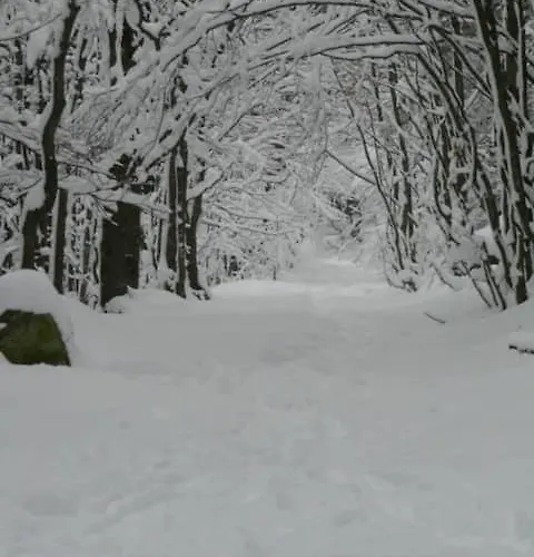 Ab Bel 1 A 4 Pers Face Vallee 3 Etoiles Wifi 르톨리